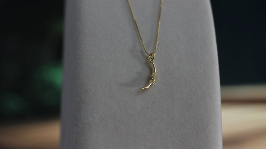 Crescent Moon Necklace